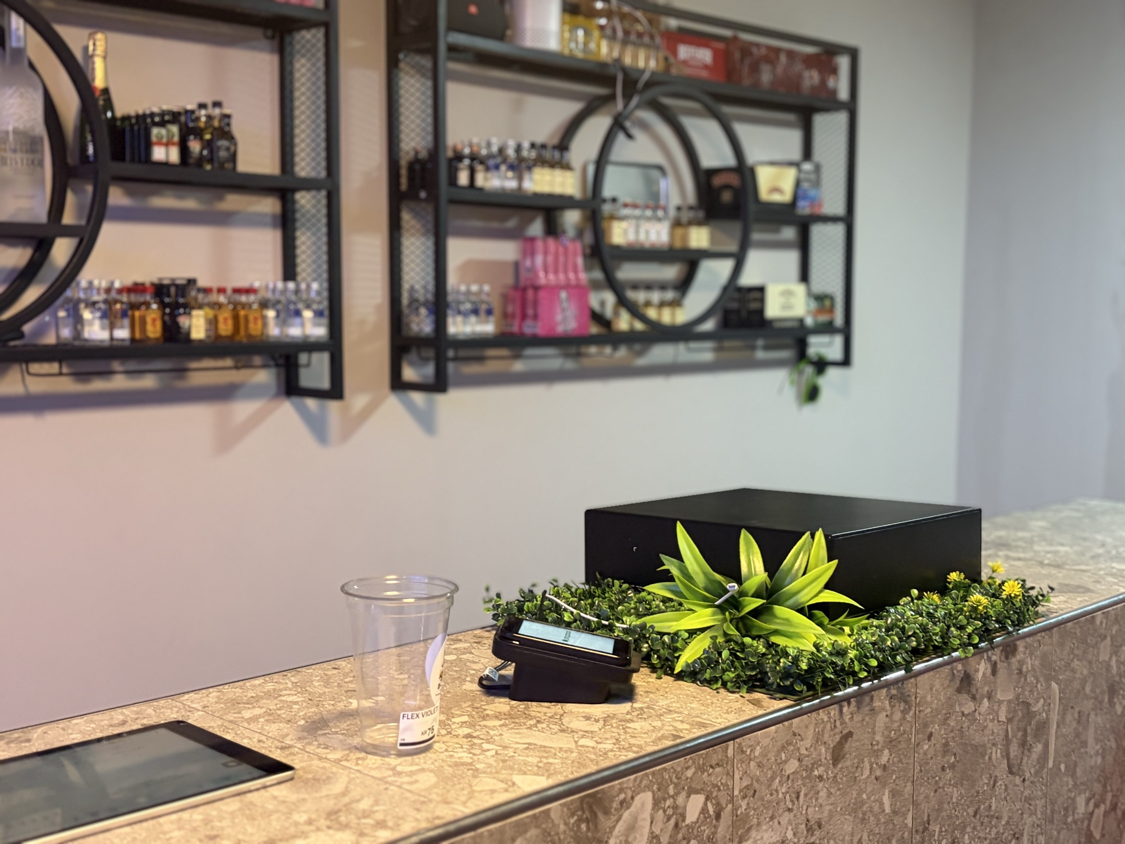 KOLT interiør med counter, planter og hylder på Vesteragde 3